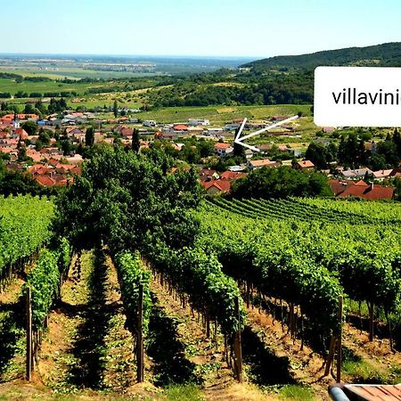 Villa Vinica Limbach Eksteriør billede