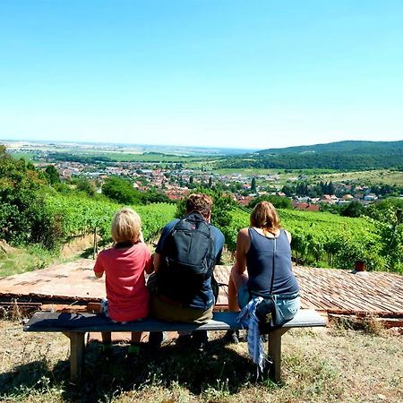Villa Vinica Limbach Eksteriør billede