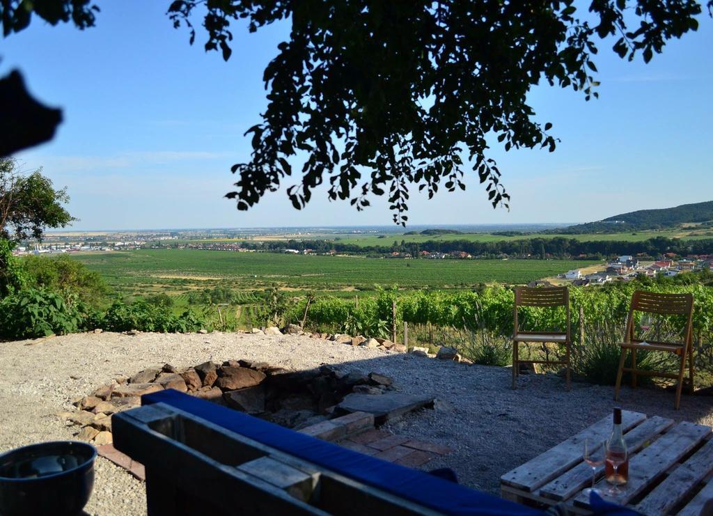 Villa Vinica Limbach Eksteriør billede