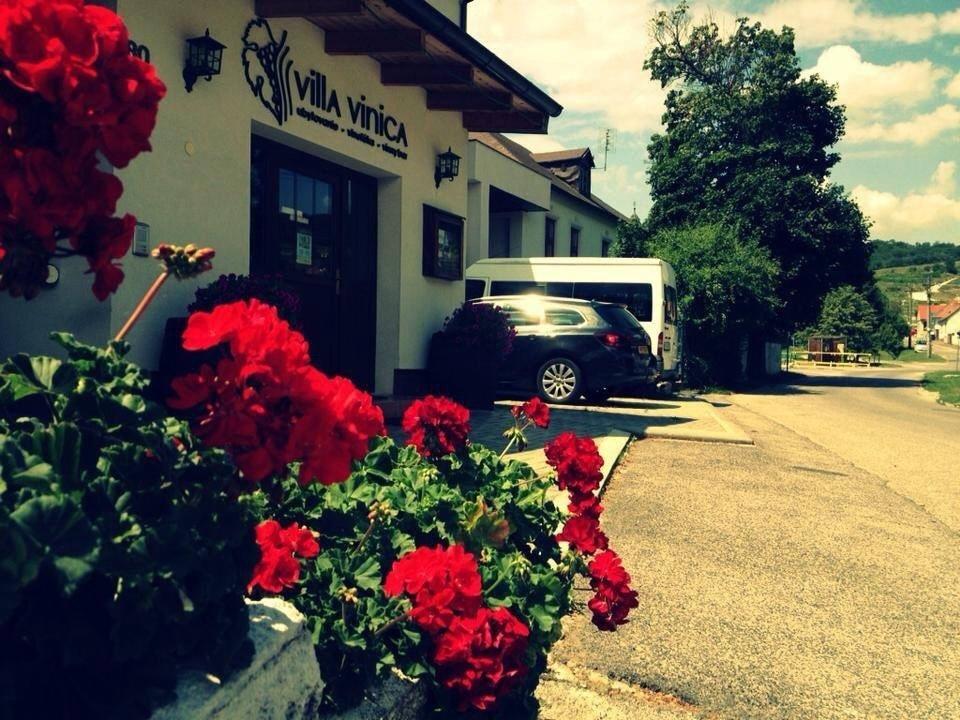Villa Vinica Limbach Eksteriør billede