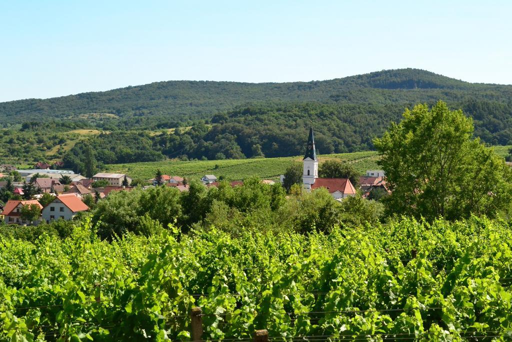 Villa Vinica Limbach Eksteriør billede