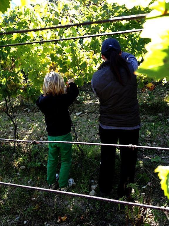 Villa Vinica Limbach Eksteriør billede