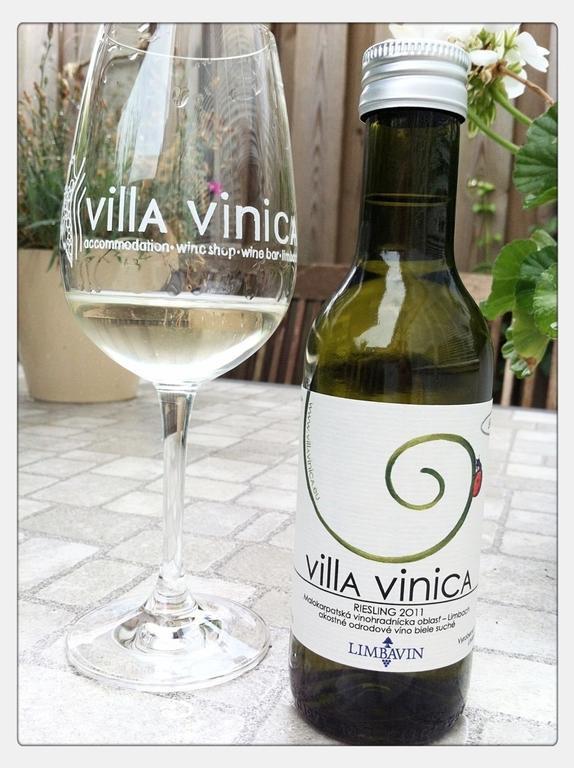 Villa Vinica Limbach Eksteriør billede