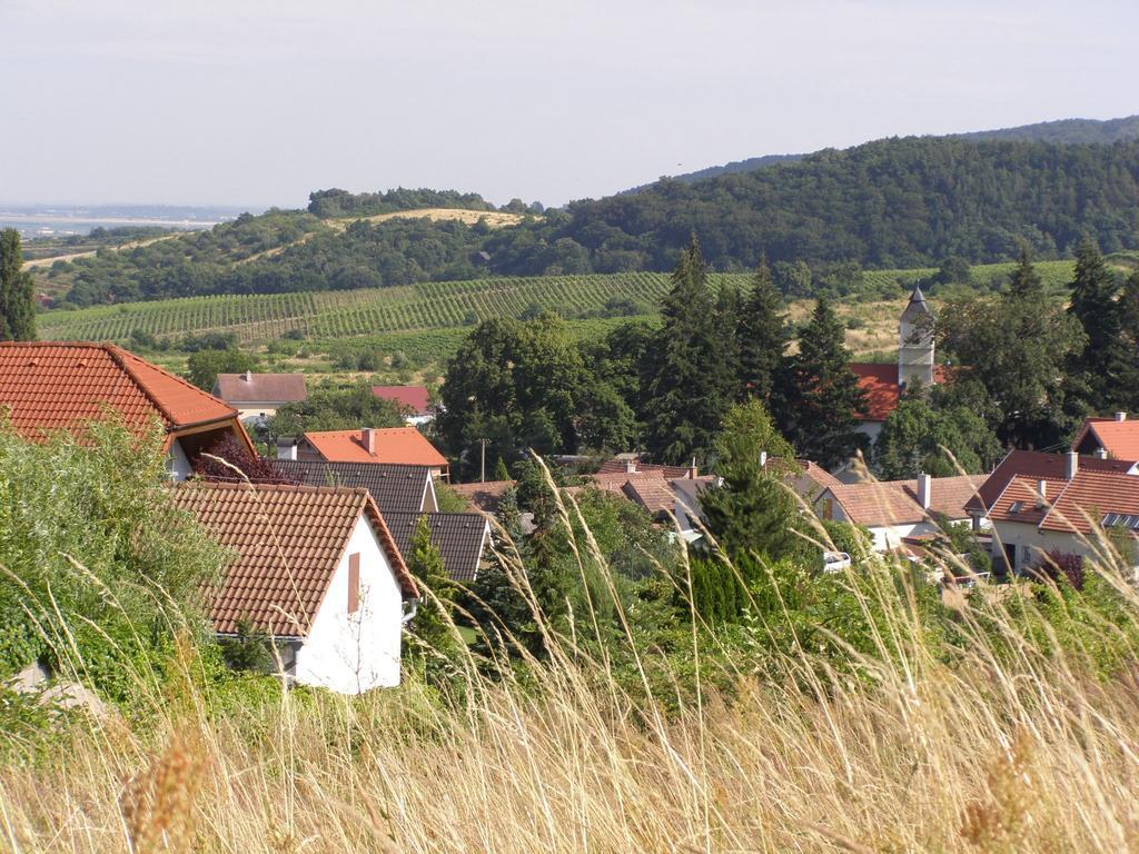 Villa Vinica Limbach Eksteriør billede