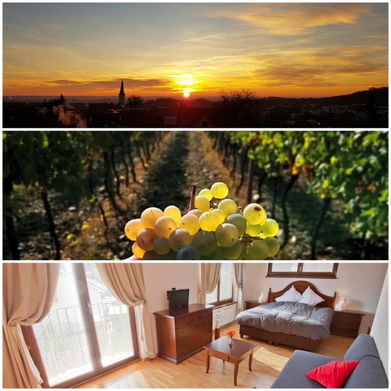 Villa Vinica Limbach Eksteriør billede