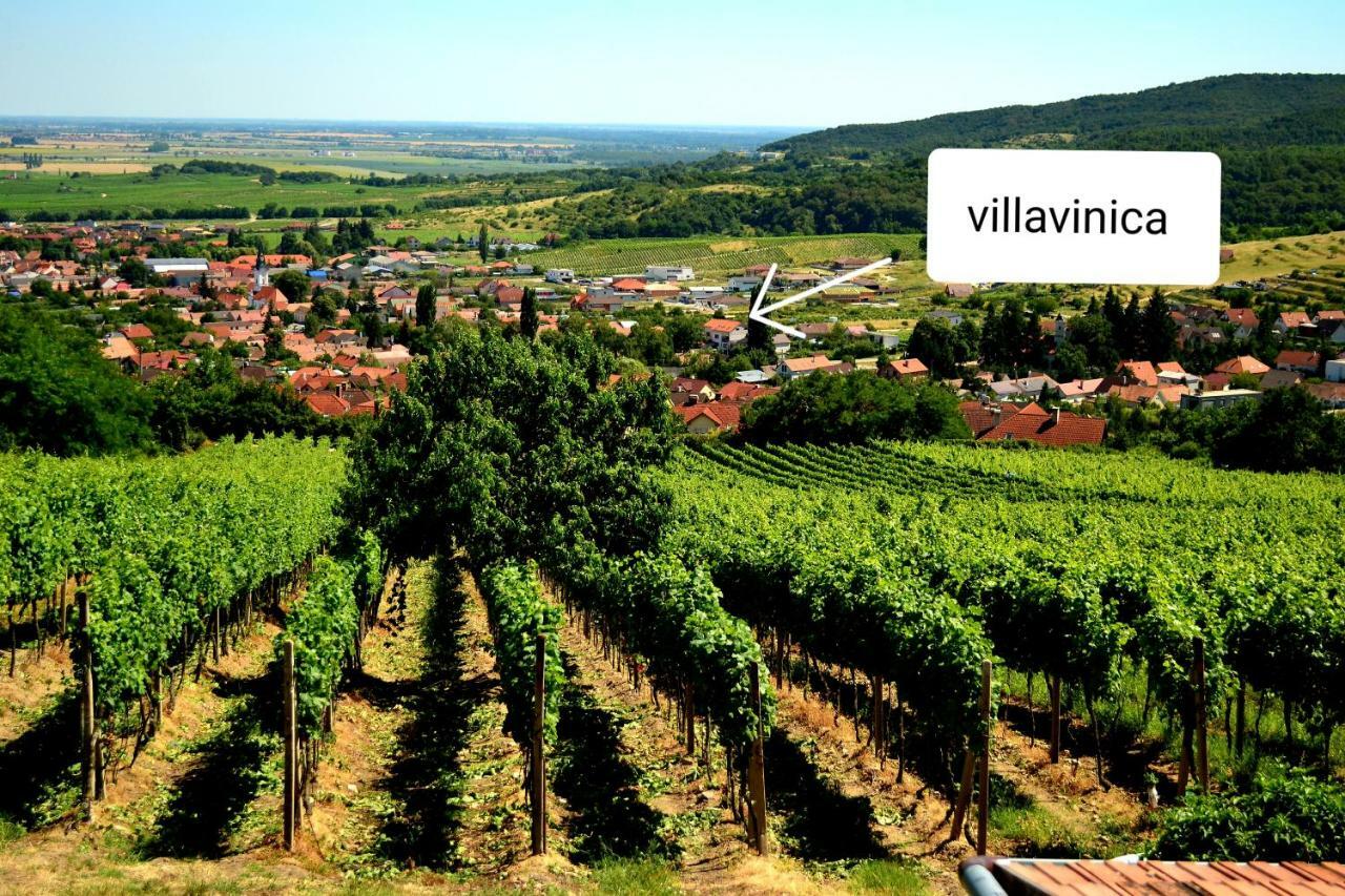 Villa Vinica Limbach Eksteriør billede