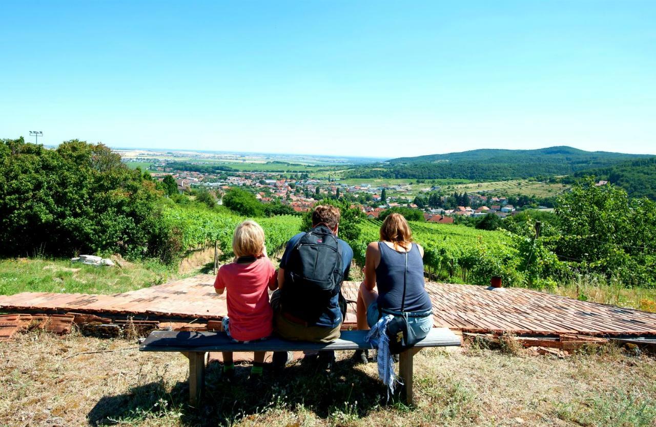 Villa Vinica Limbach Eksteriør billede