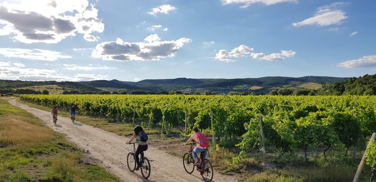 Villa Vinica Limbach Eksteriør billede